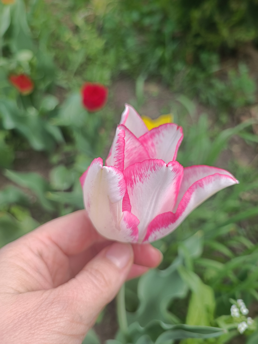 Ну, красиво же! И результат быстро виден, хоть и недолгий🤩