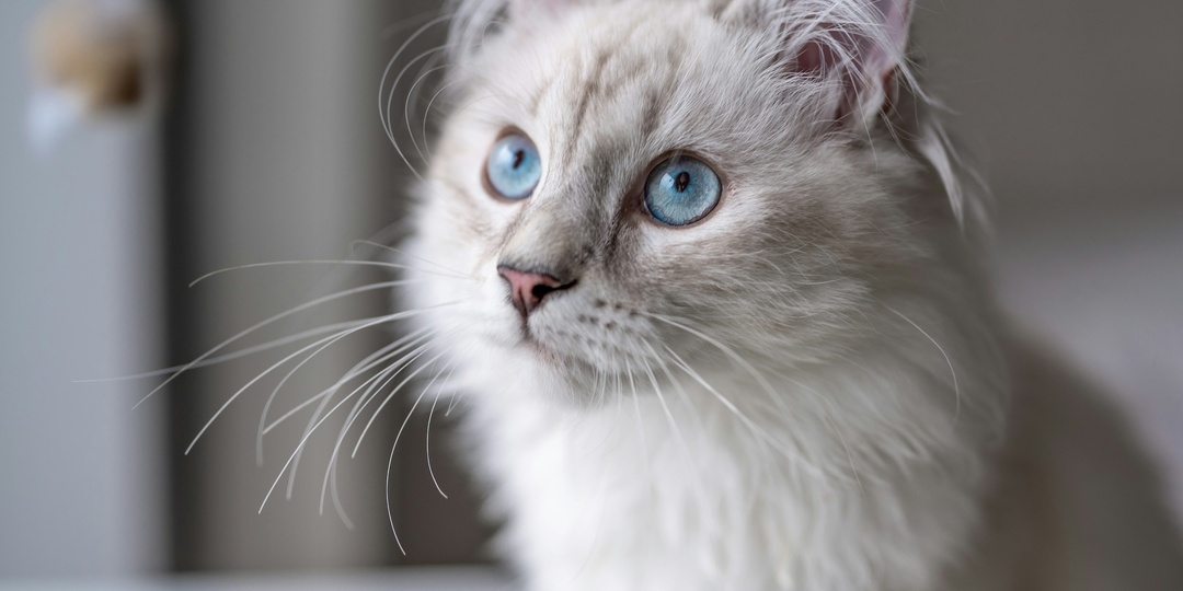 Совсем другая жизнь