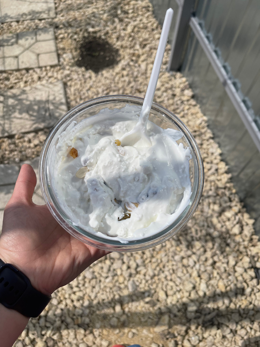 Съедаю эту миску в два приема : до обеда и к вечеру. Фото автора. 