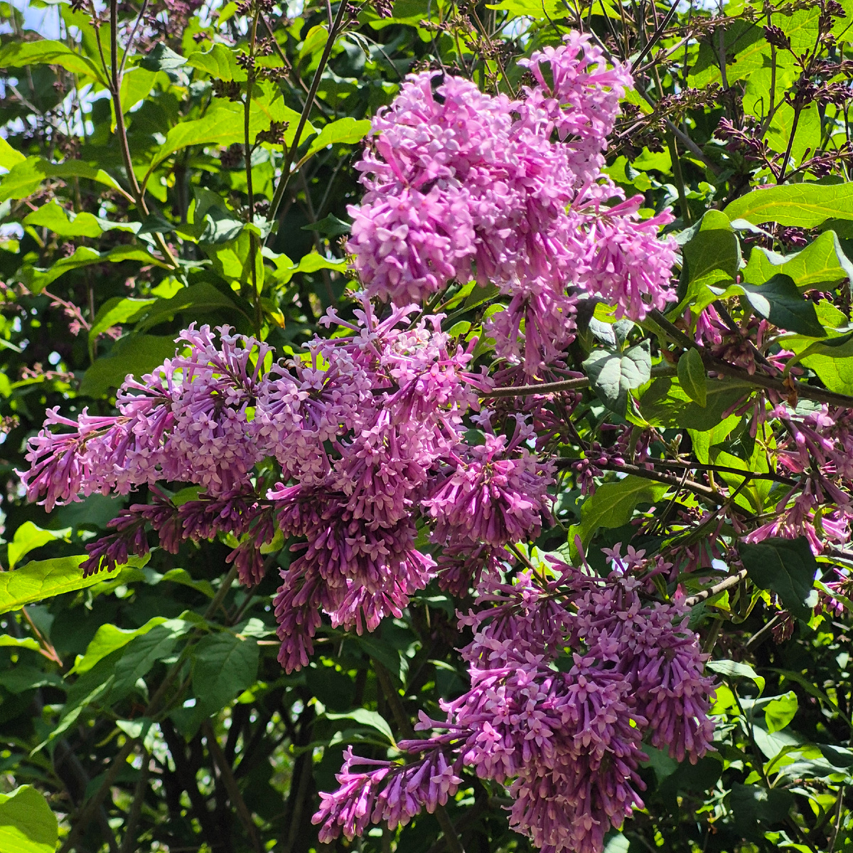 Фотография автора статьи