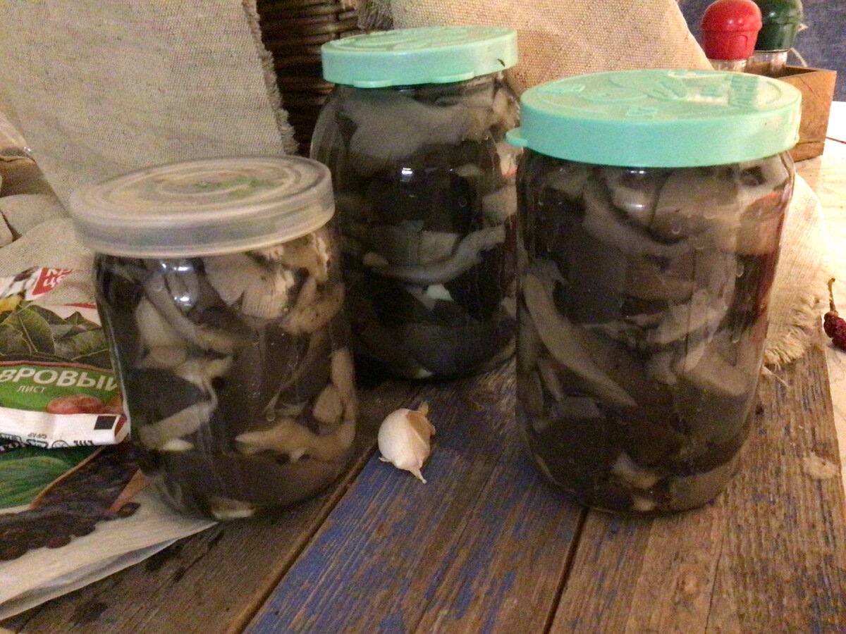    Секрет бабушкиного подвала — солёные вёшенки с морковью