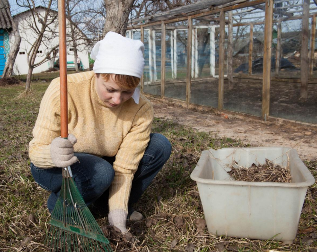Дачница. Фото из интернета
