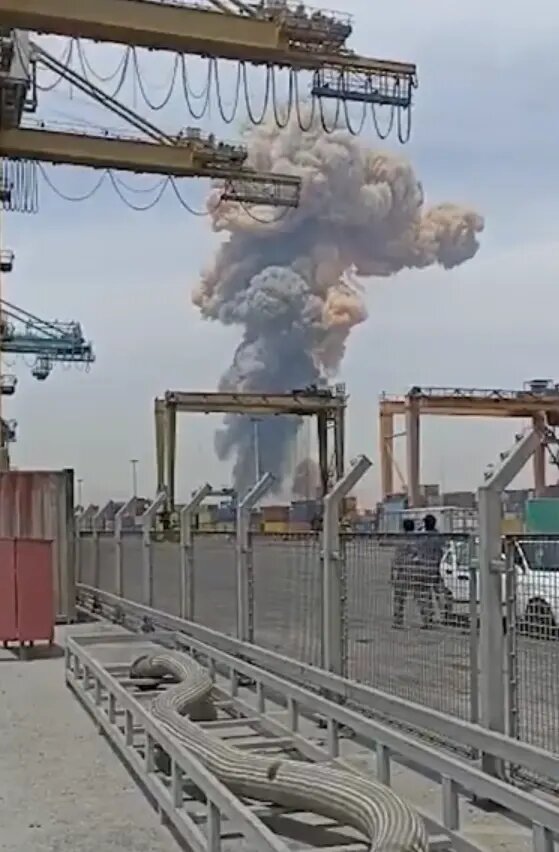    Фото: скриншот видео из соцсетей