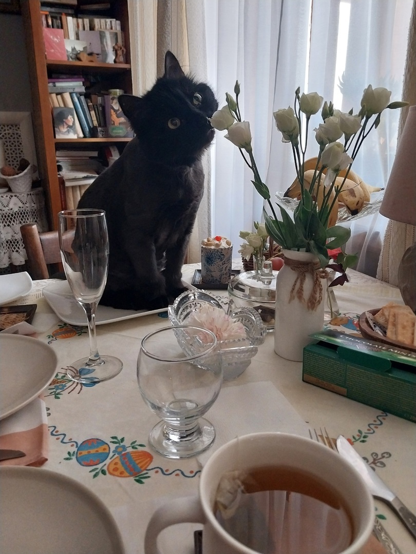 разумеется, я Бегемота согнала, а блюдо хорошенько вымыла и высушила; но сперва сделала это фото! - лирический котик