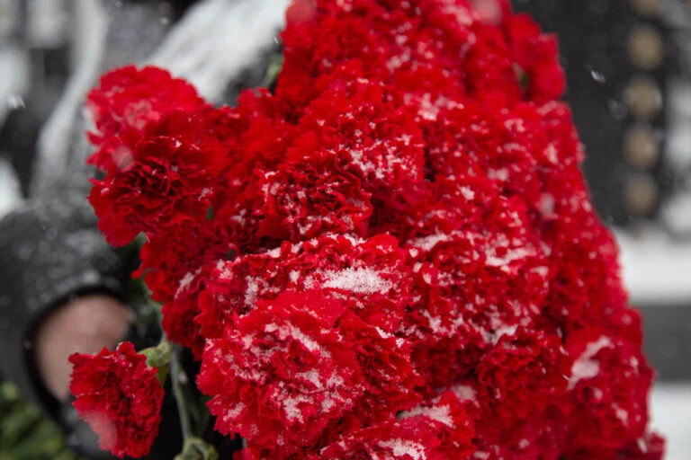    Фото: Общественная Служба Новостей Анна Мигинеишвили