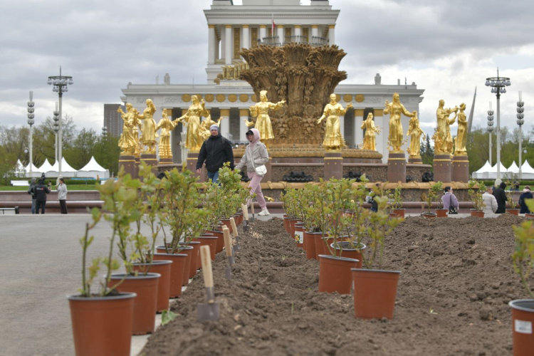 Фото: Юлия Федотова