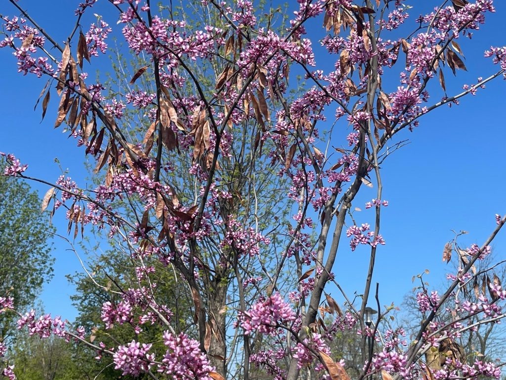    Фото: Галина Ахмедиева Редактор