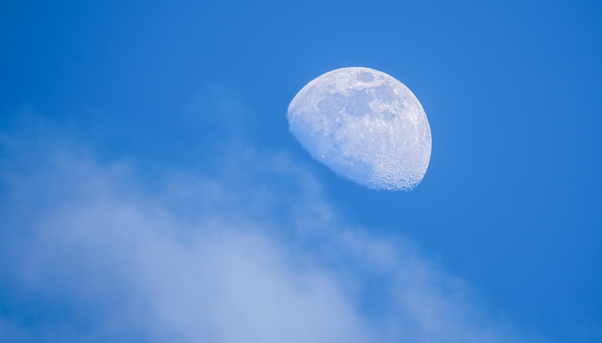    Фото: pixabay.com