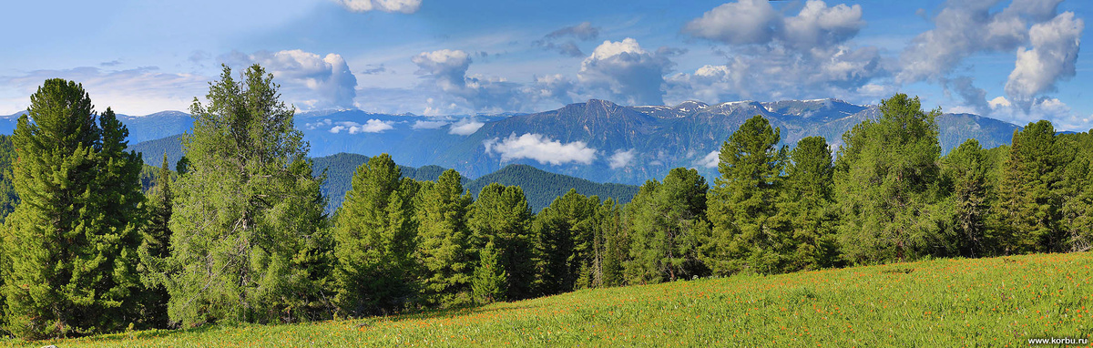 вид на Алтын-Туу с Чит