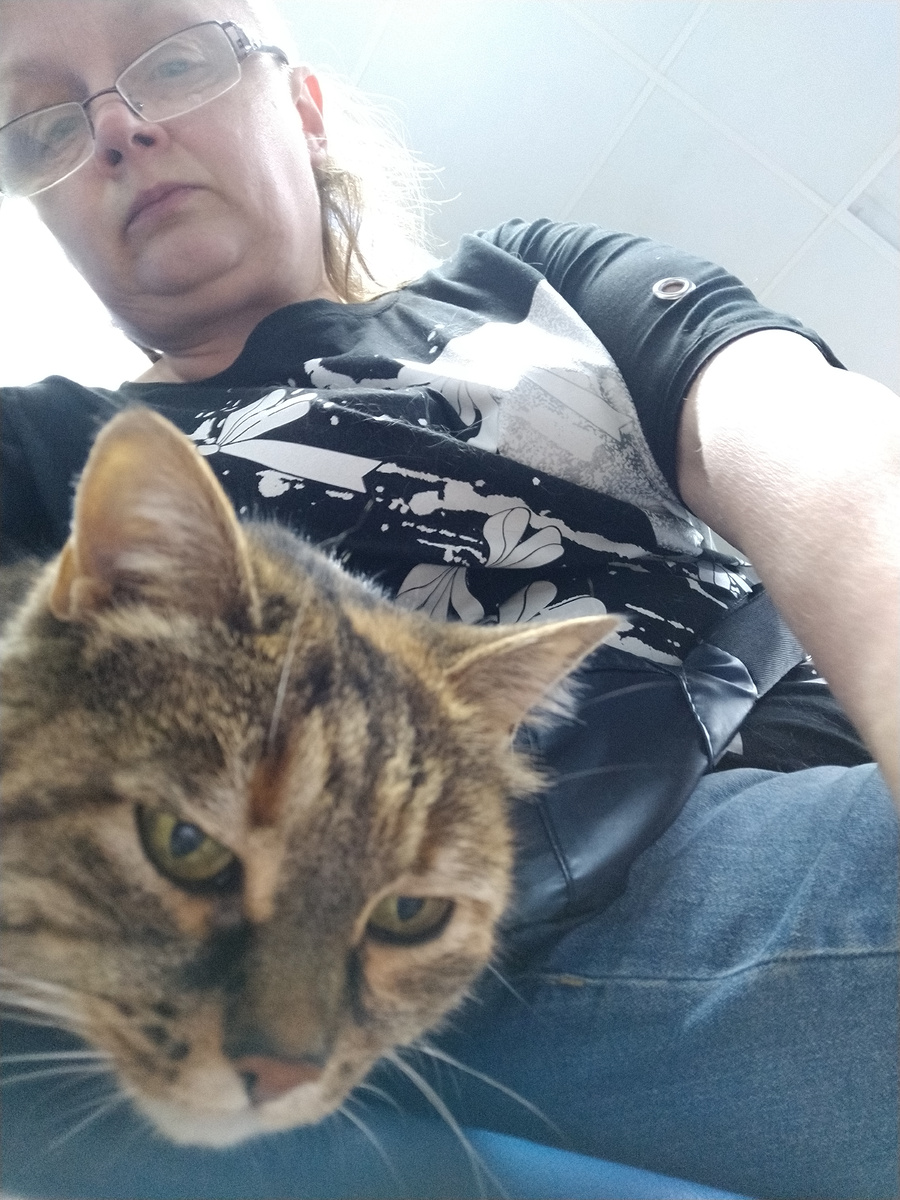 Больничная кошка