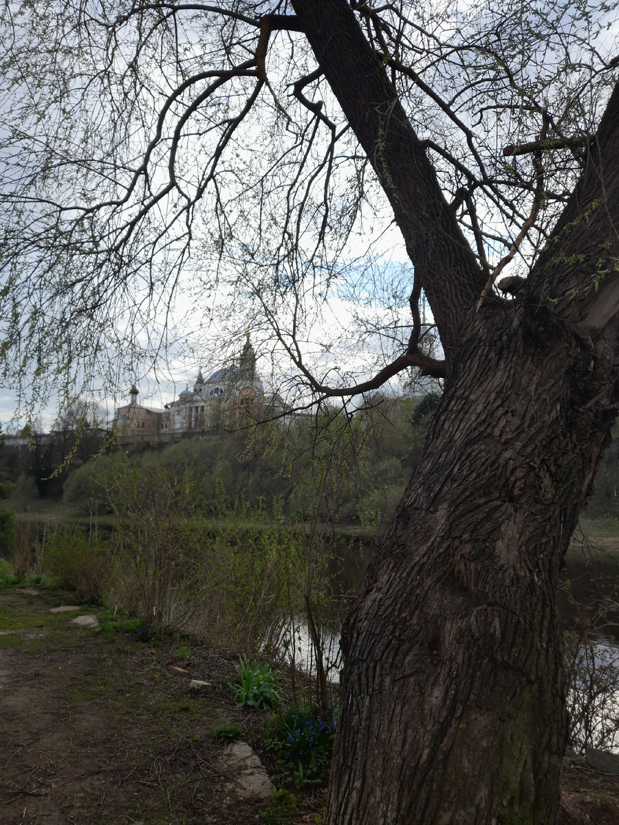 Вид на Борисоглебский монастырь