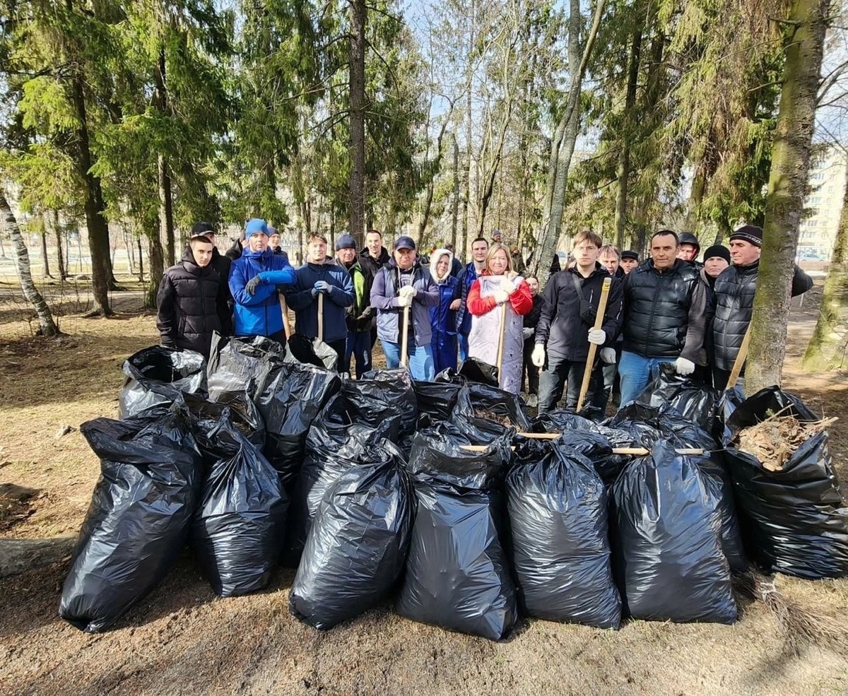    Фото: Петросовет