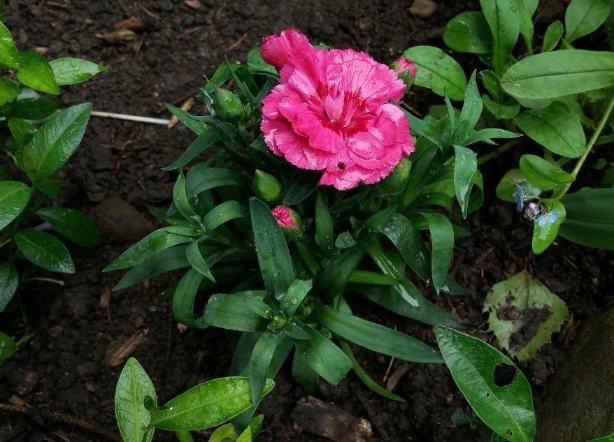 Фото из личного архива