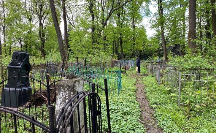    Источник фото: архив Курских известий