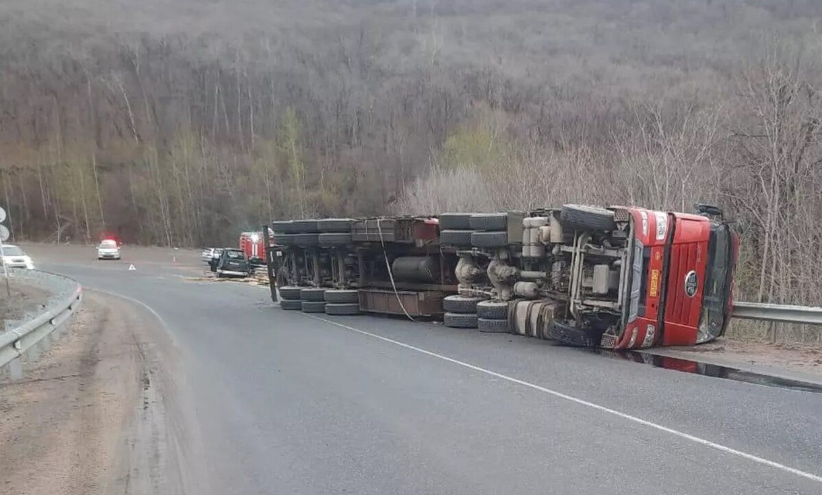     / Источник: t. me/prim_police