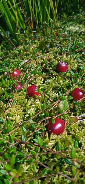 Все фото авторские 