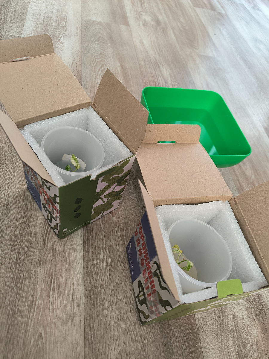 Все фотографии в статье авторские 