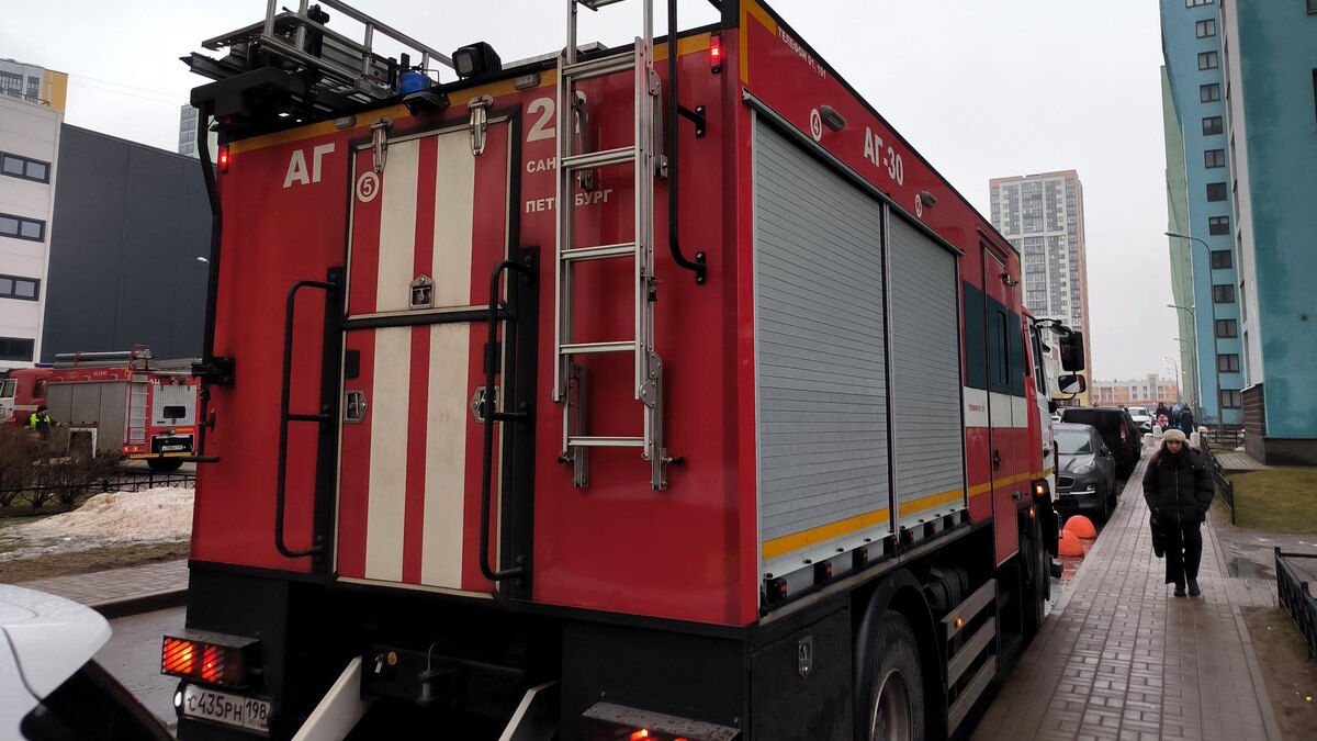    Фото: Maksim Konstantinov/Global Look Press