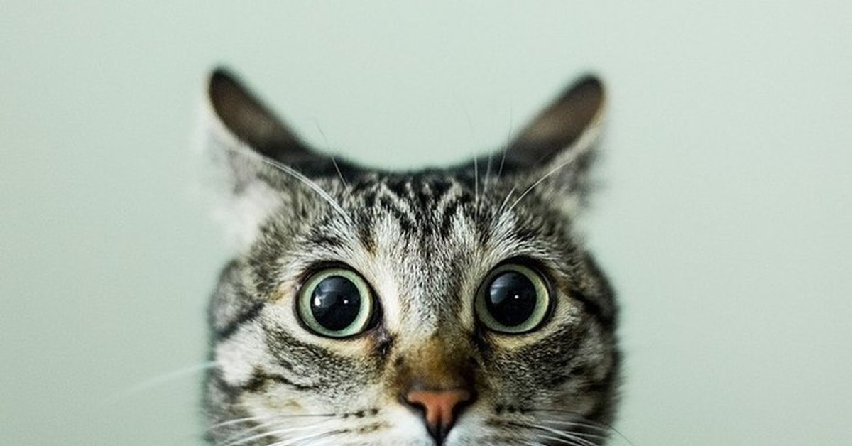 Когда называешь манипуляцию по имени