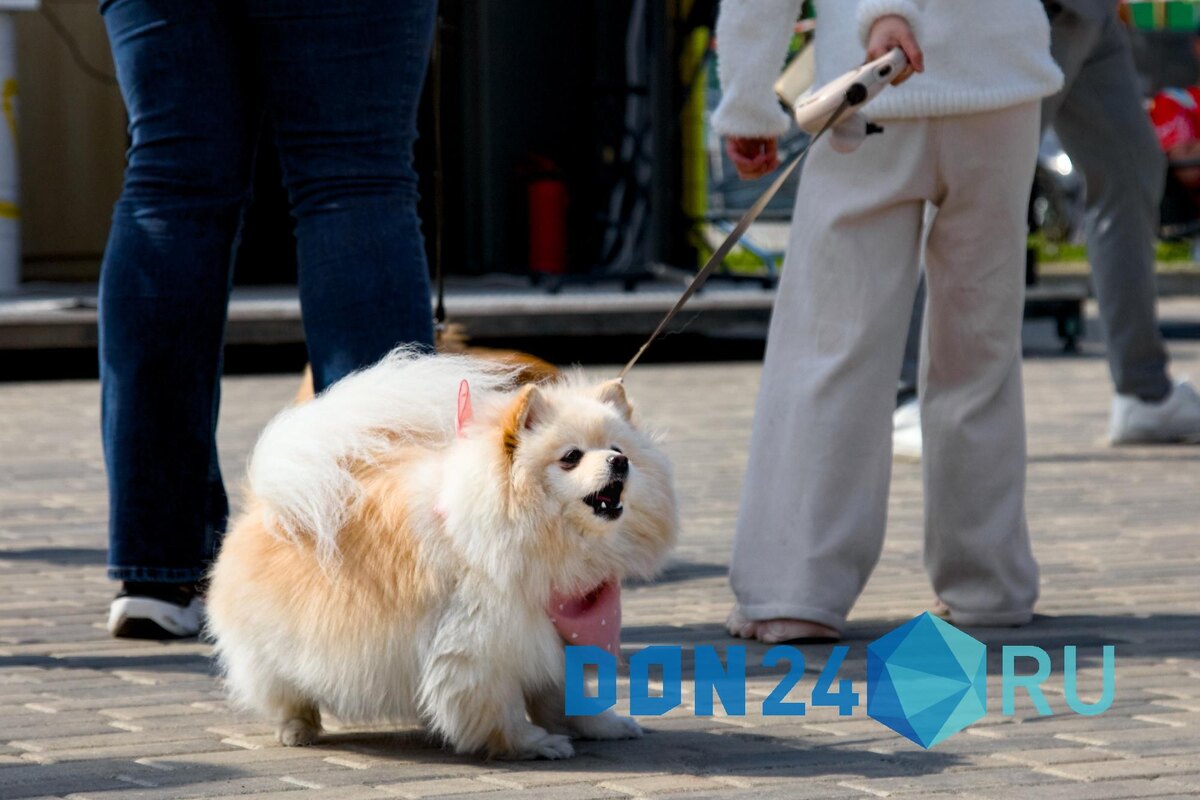    ДОН24   📷   ДОН24   📷   ДОН24   📷   ДОН24   📷   ДОН24   📷   ДОН24