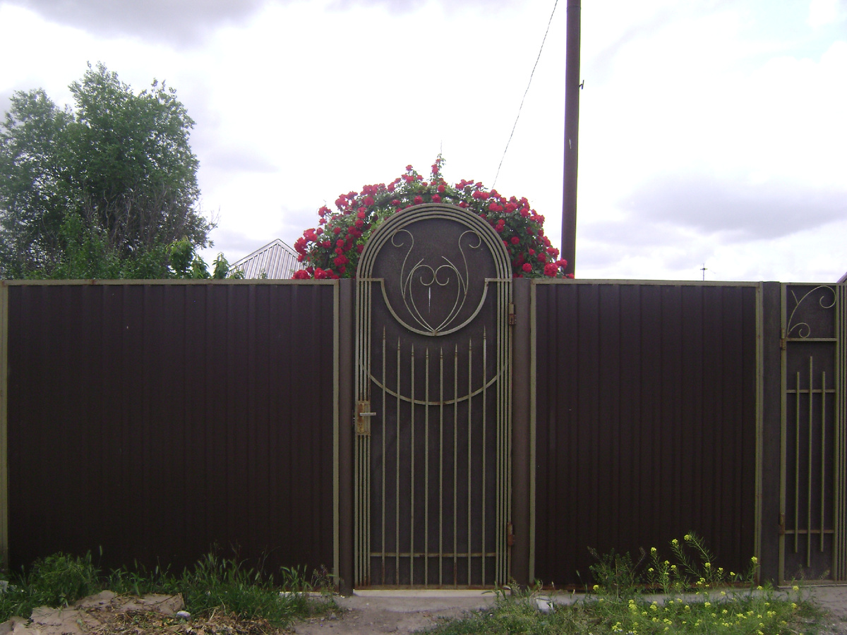 А так - когда за калиткой стоишь и хозяйка тебя не пускает. Тоже давнее фото. 