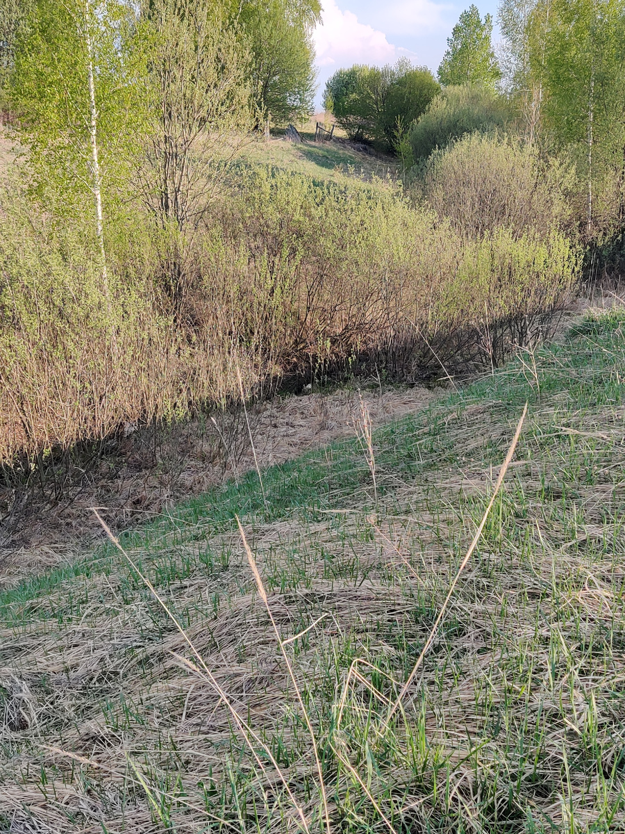 Речка Мердабарка примерно в 100 м от часовни.