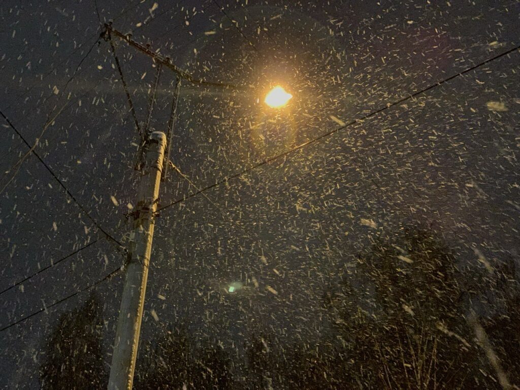    Фото: Иннокентий Радыгин