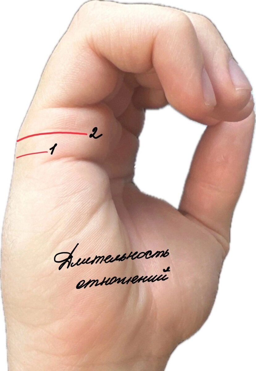 Знаки коротких и длинных отношений на руке. Рисунок автора. 
