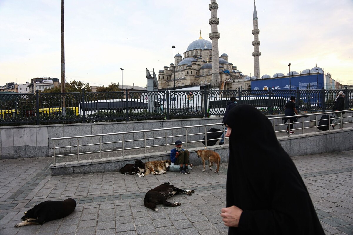     / Источник: © Hakan Akgun/Global Look Press