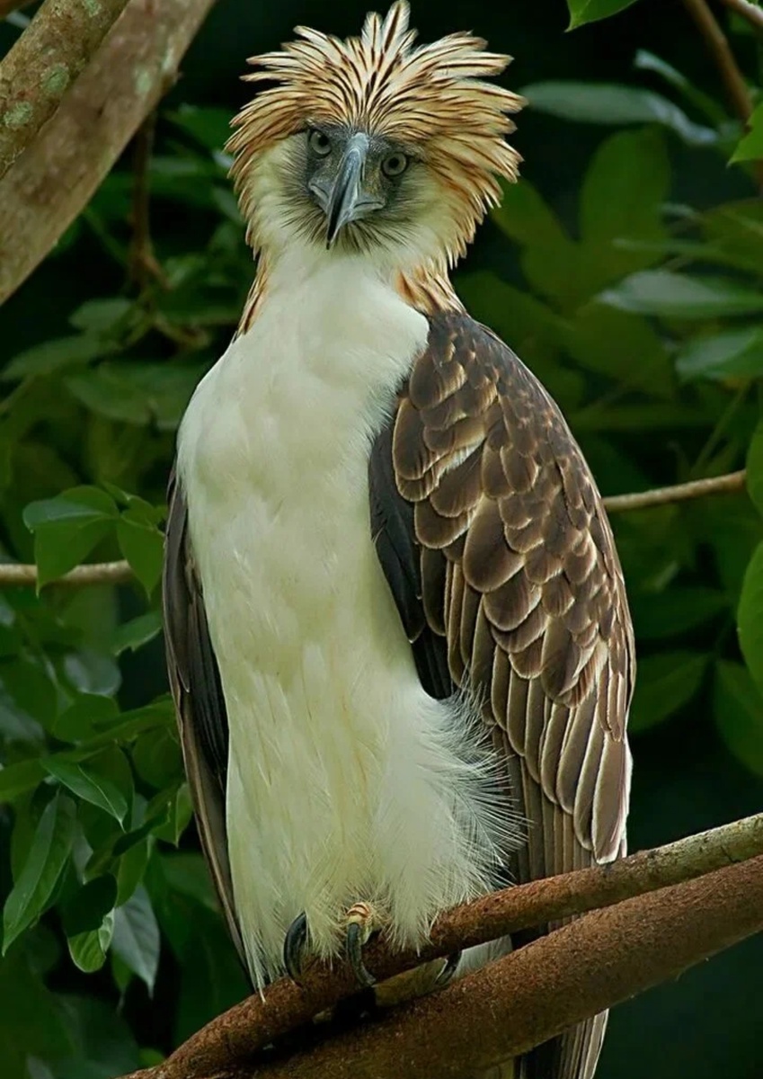 Саня, ты выглядишь аппетитно!