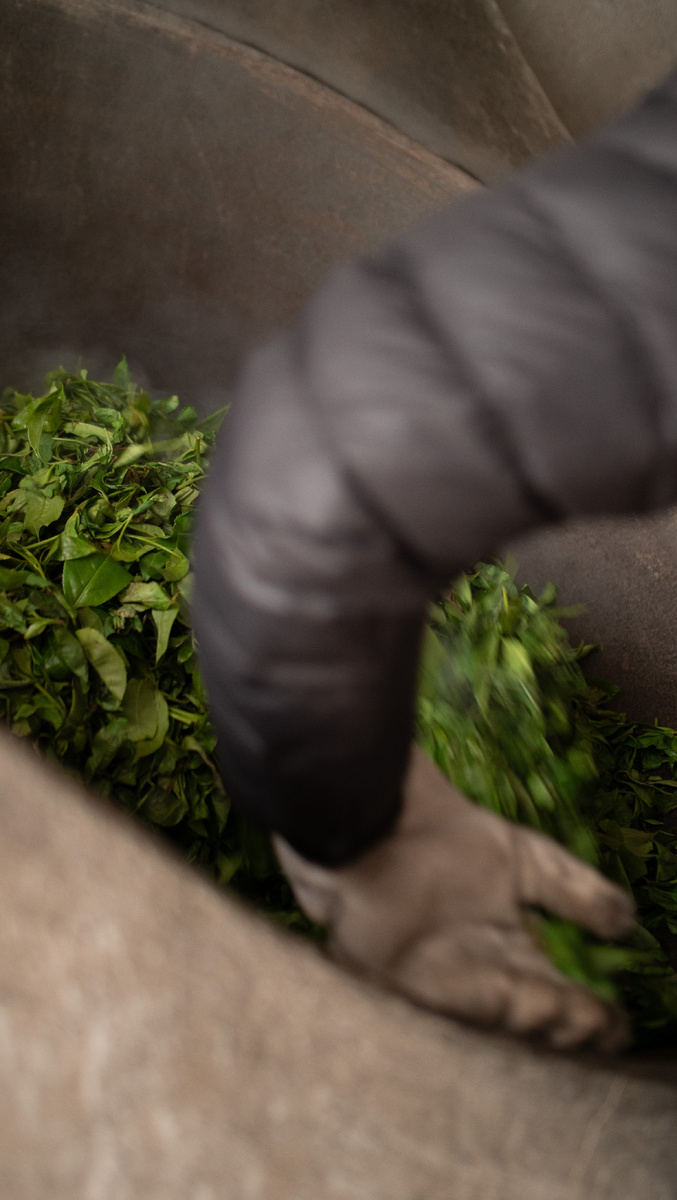 Производство чая Горьков Чай