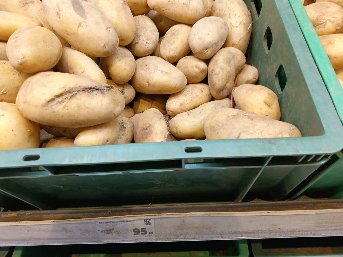 фото автора: это самая дешёвая картошка в Магните