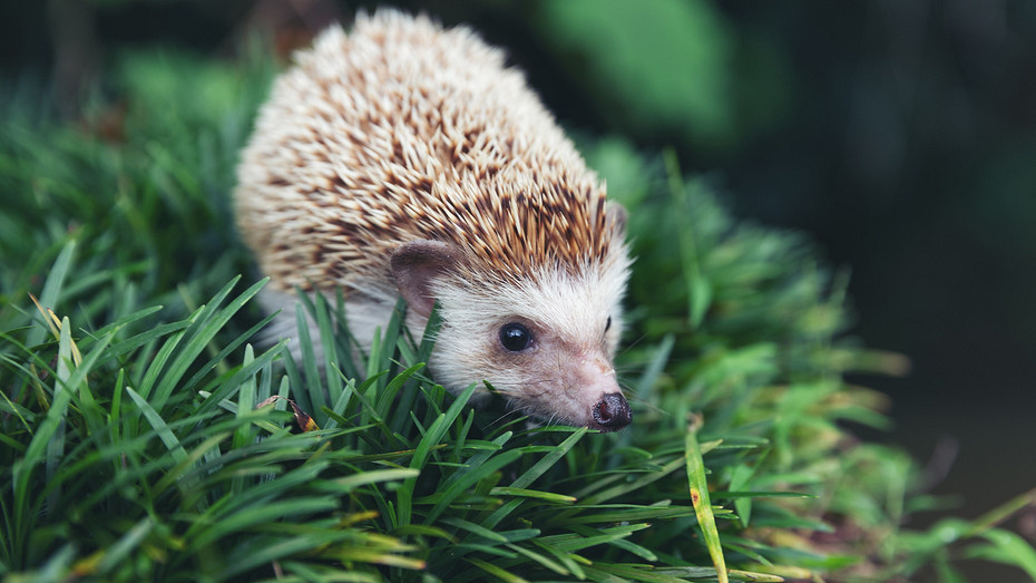     Источник здесь и далее: freepik.com (@jcomp)