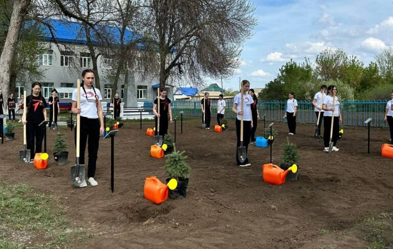    В Илекском районе заложили аллею памяти в честь павших участников СВО Марина Шарт