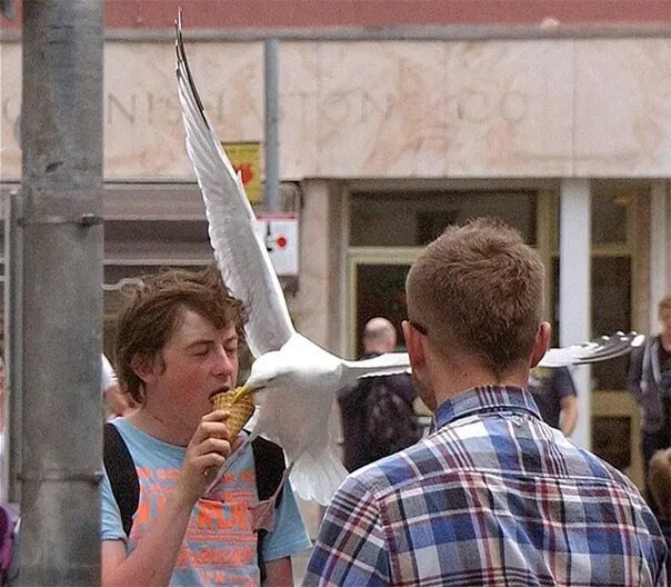 Закроешь глаза от наслаждения, и вот!