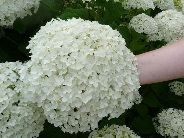 Фото из личного архива