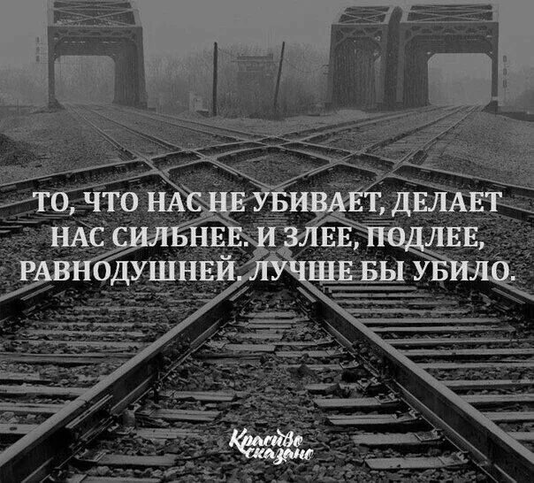 Фото из открытых источников интернета 