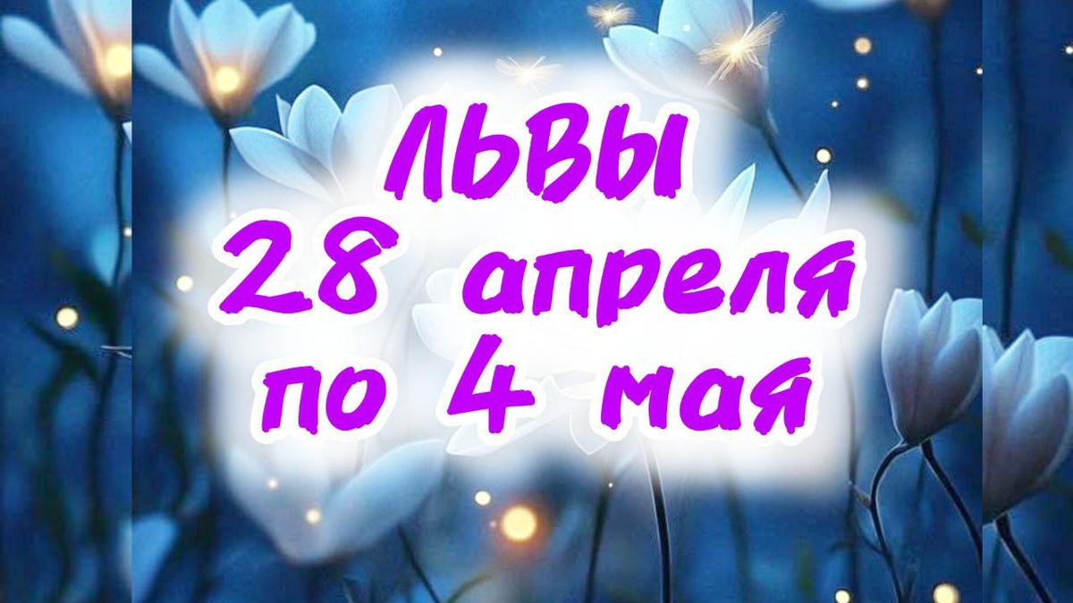 фото принадлежит автору канала