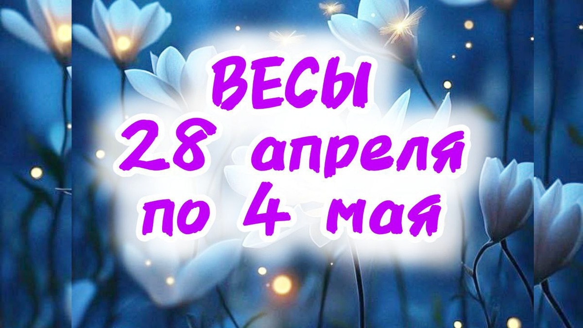 фото принадлежит автору канала