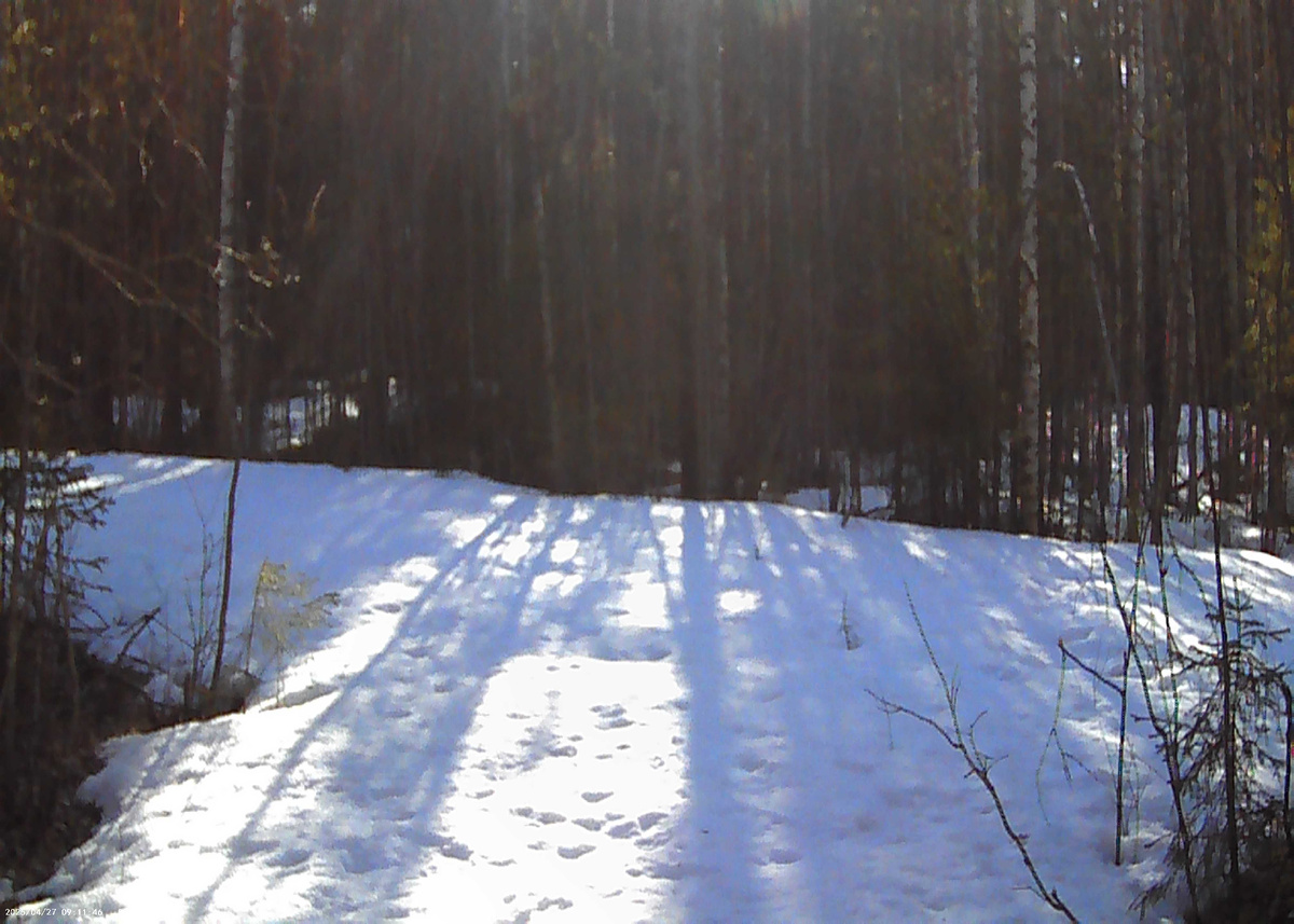 Прекрасная игра света и тени! 👍 