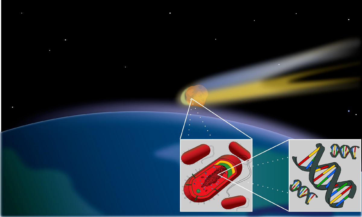 Изображение кометы, переносящей бактериальную форму жизни из космоса на Землю.