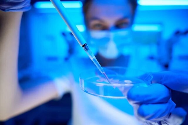    Сколько стоит заморозить яйцеклетку?