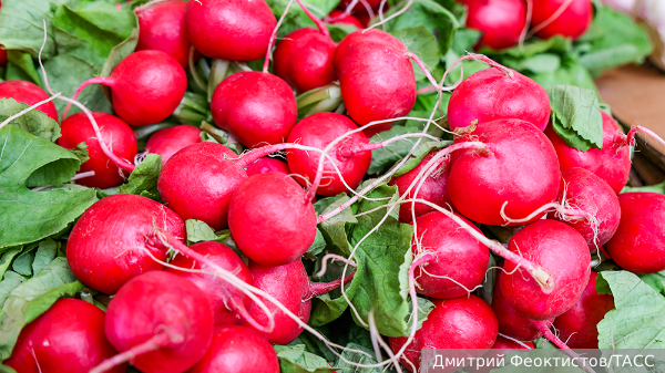     Фото: Дмитрий Феоктистов/ТАСС   
 Текст: Ольга Никитина