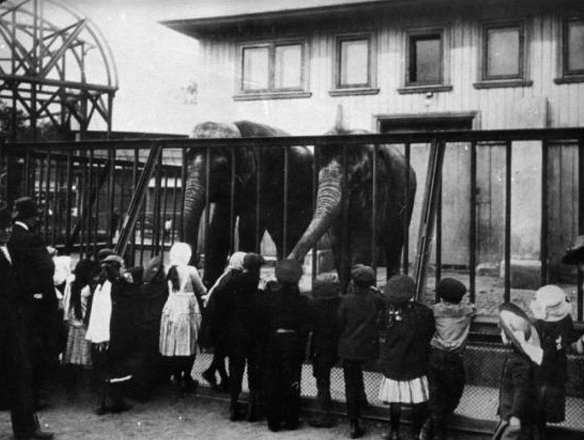 фото: 1910 - 1917 годов. culture.ru