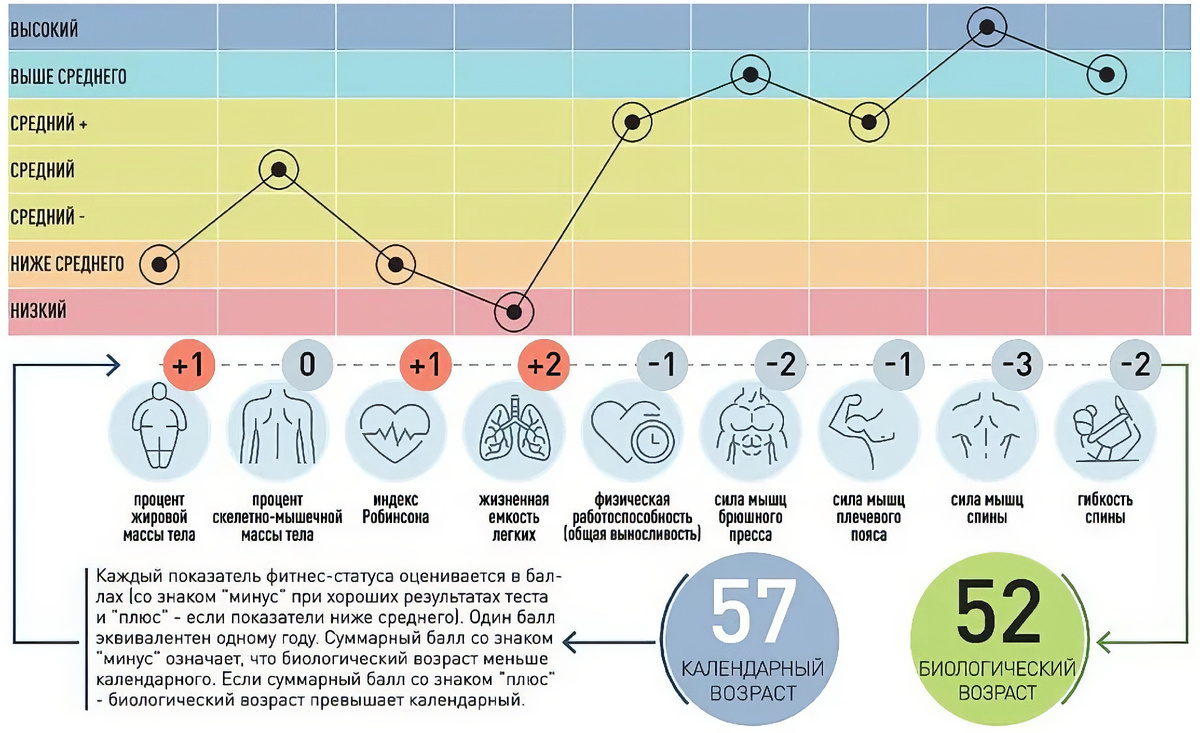Паспортный vs биологический возраст