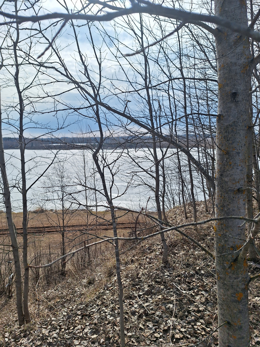 Вид с горы на пруд.