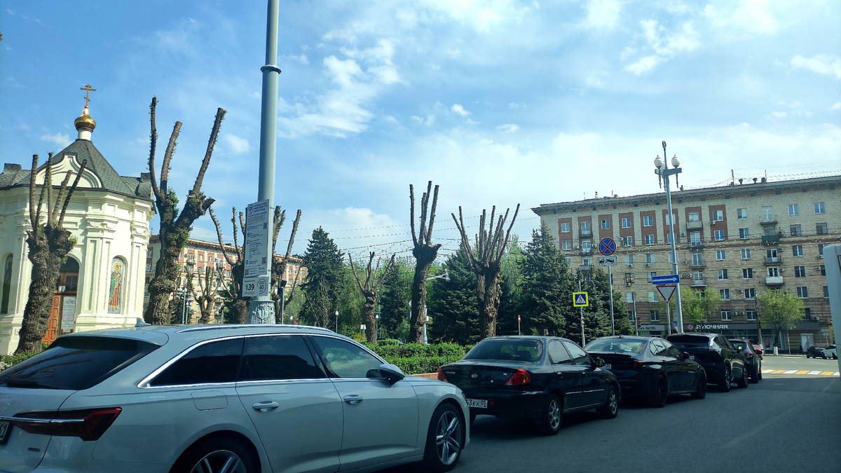 А это исторический центр города. Аллея Героев. Как вам голые стволы? Интересно, деревья вообще выживут после такой обрезки? Или цель как раз и заключается в том, чтобы избавиться от лиственных деревьев и заменить их потом очередными ёлками? 