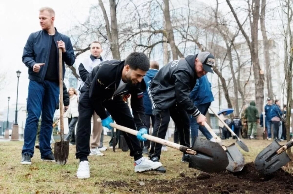    Уральцы могут посадить деревья в рамках акции «Сад памяти»