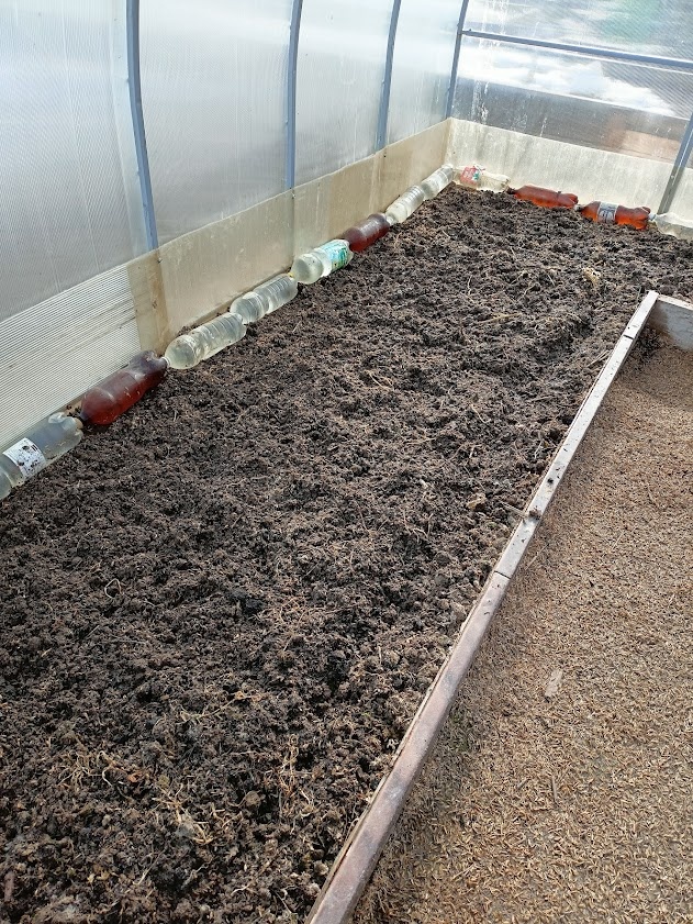 посев сидератов 2 апреля