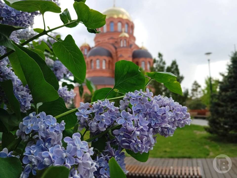    Фото: Евгения Иванова / "Городские вести"